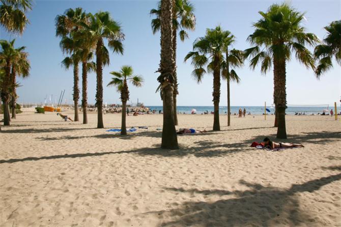 Sun And Beach Lovers 12019 La Pineda Exteriér fotografie