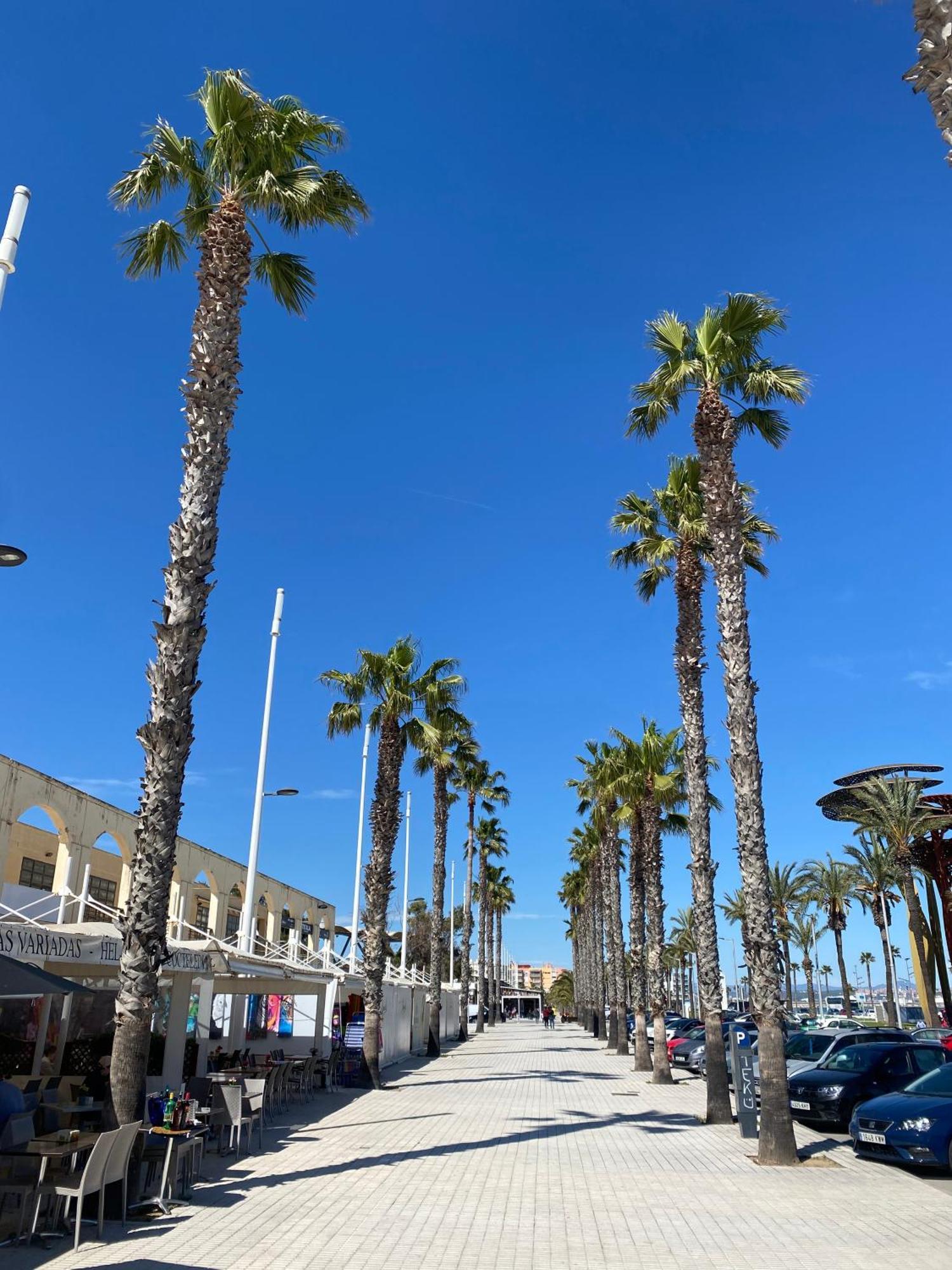 Sun And Beach Lovers 12019 La Pineda Exteriér fotografie